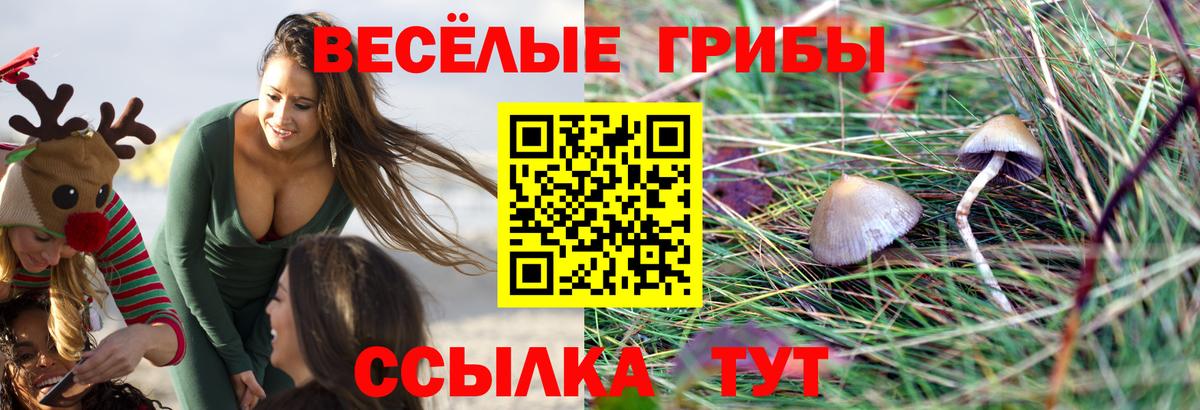 Тихорецк  Галлюциногенные грибы Magic Shrooms  Вход с VPN 